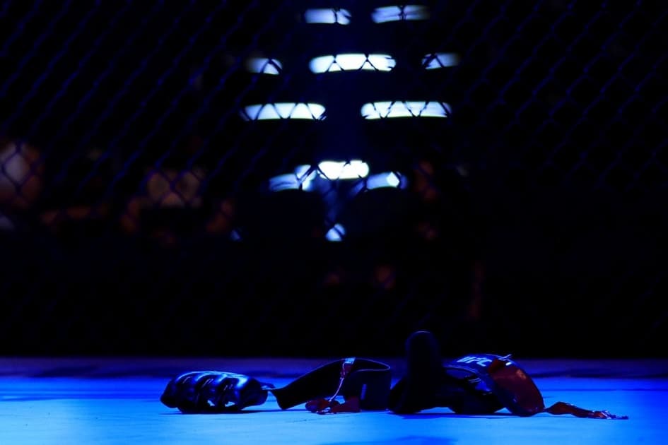 Россия возглавила список сильнейших стран в MMA от ESPN